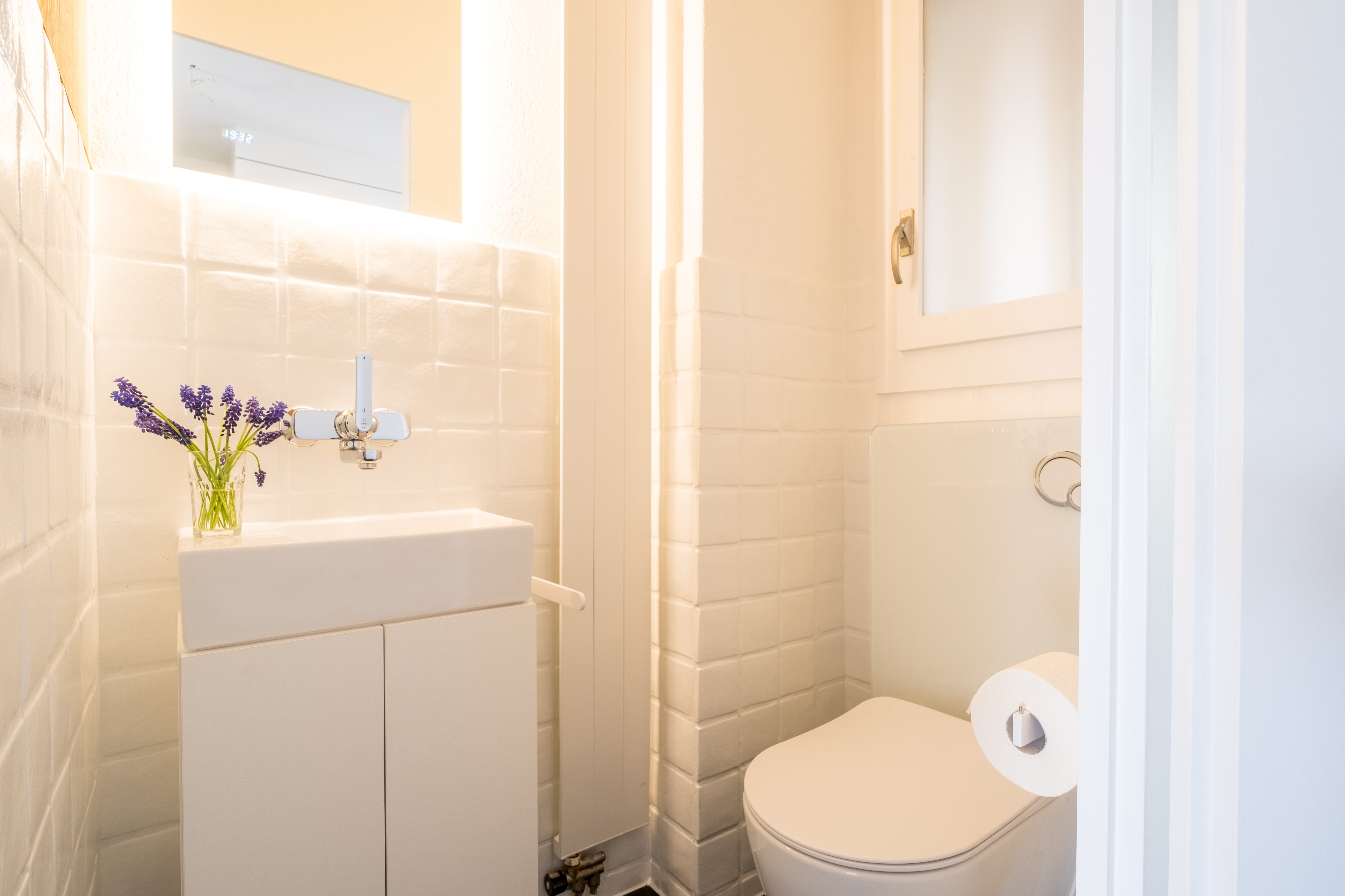 House-toilet